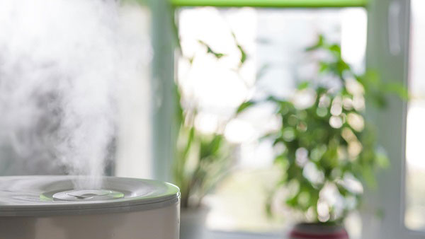 comparativa deshumidificadores