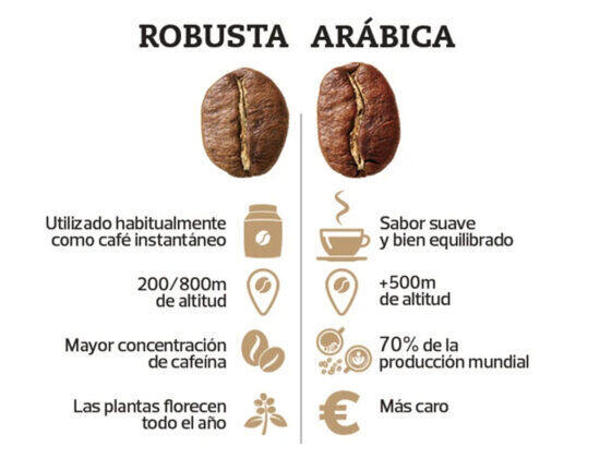 Beneficios del café