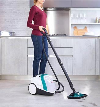 ¿Qué vaporeta comprar?