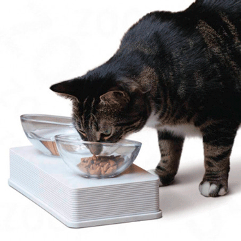 mejor pienso para gatos