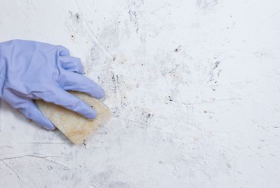 Limpieza para paredes con moho