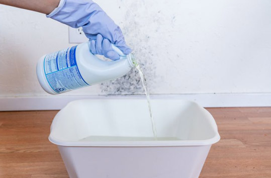 solución para limpiar el moho de la pared