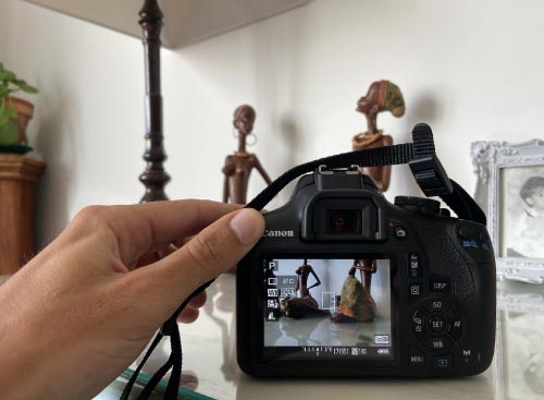 Mejor camara para pricipantes